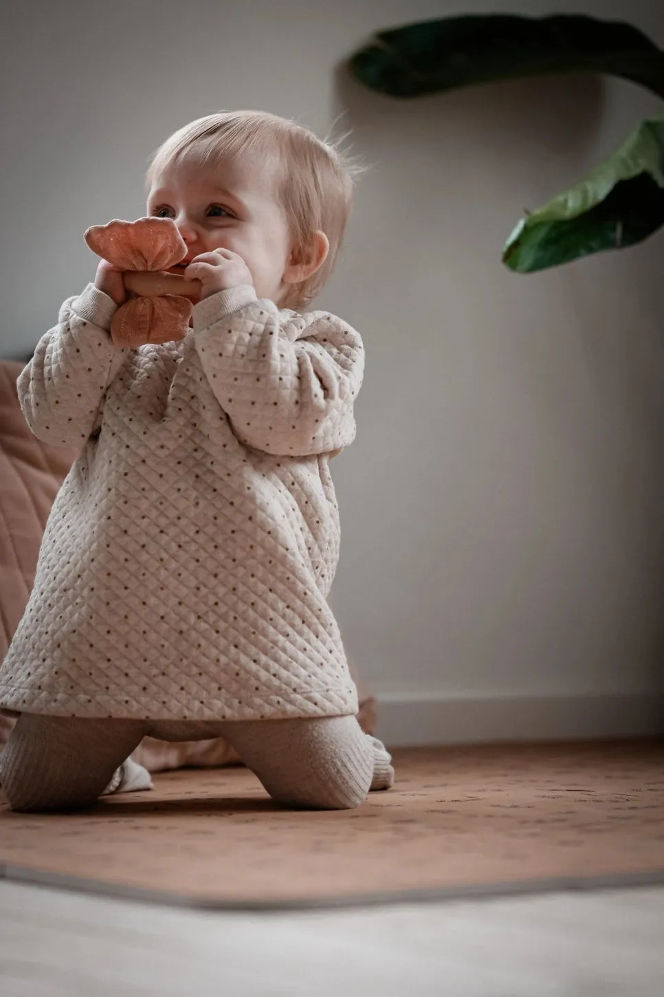 Natural Rubber Teether - Butterfly