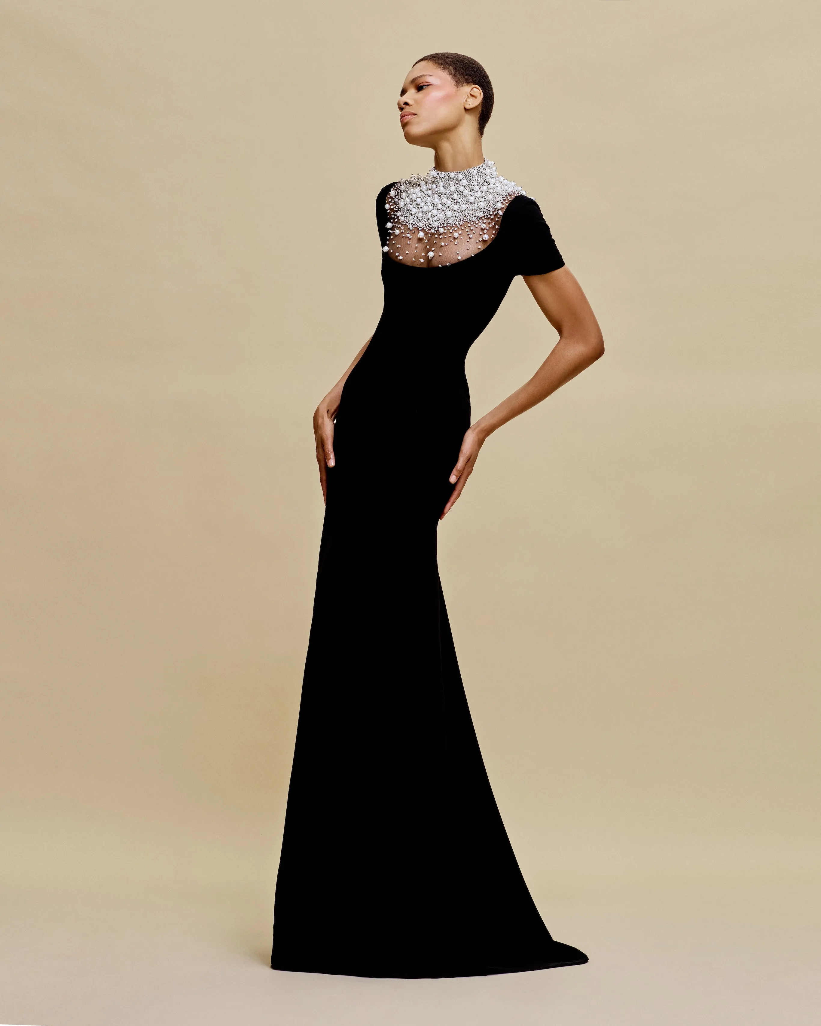 PEARL EMBELLISHED NECKLINE FIT-AND-FLARE GOWN WITH CAP SLEEVES